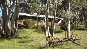 Ruby Cottage from driveway